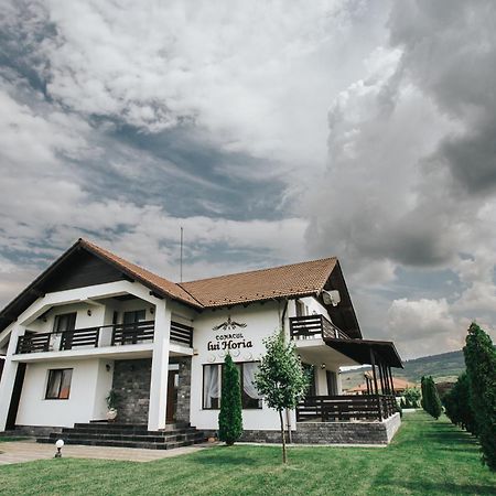 Pensiunea Conacul Lui Horia Bistrita  Bagian luar foto